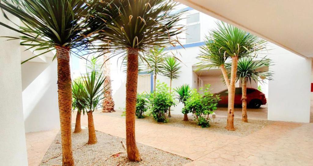 Apartment With Sea Views In Las Terrazas/Playa Flamenca Dehesa de Campoamor  Exteriör bild